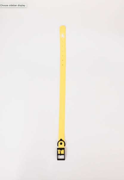 The Modern Dog Company - Daffodil Yellow Collar (Weather +