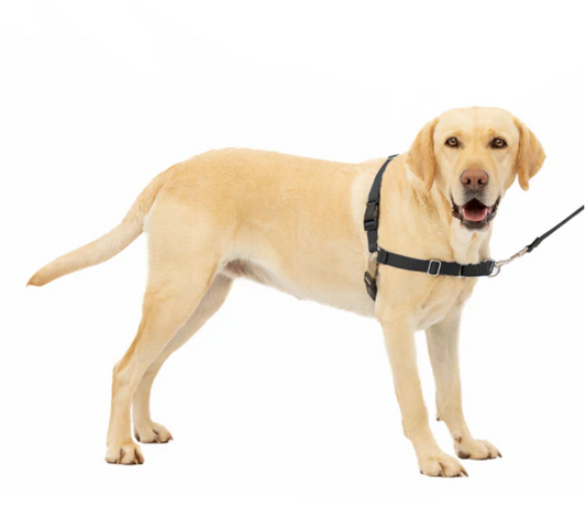 Dog Harness Adjustable Walking Vest Premium Large Comfort - main product image