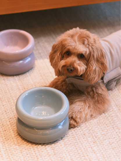 Ceramic Elevated Pet Bowl Ergonomic Dining for Cat and Dog