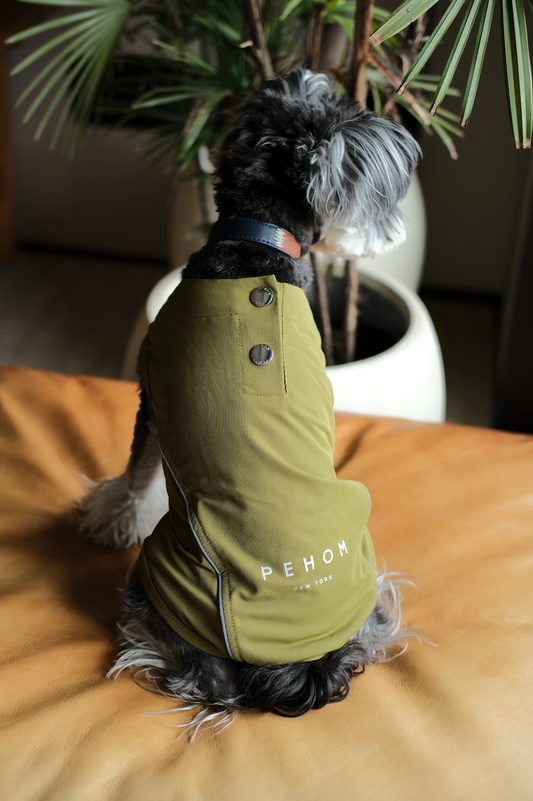 Chill Vest Shirt Green Dog Apparel Premium Pet Supply - detail view