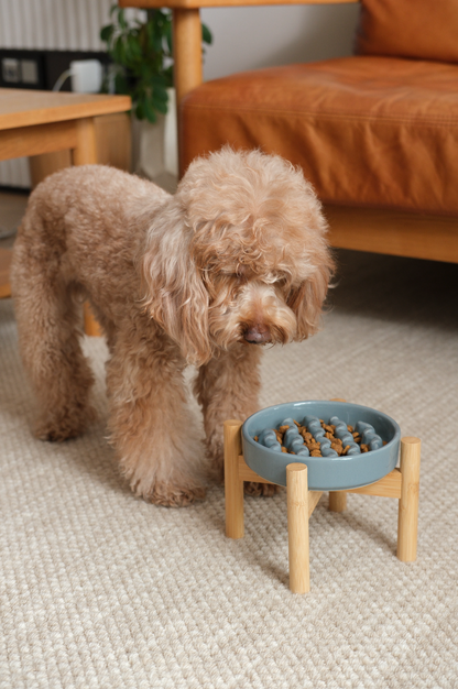 Blue ceramic Macaroni slow feeder bowl on a wooden stand, featuring a maze-like interior to help dogs eat slower.