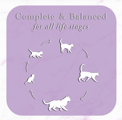 Fussie Cat Fine Dining - Pate - Mackerel with Beef Entree in