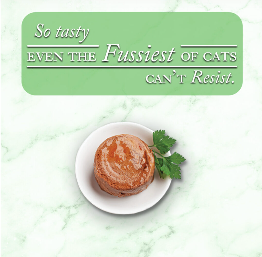 Fussie Cat Fine Dining - Pate - Oceanfish Entree in gravy (2.82oz) - Fussie Cat Wet Cat Food - The Family Pet