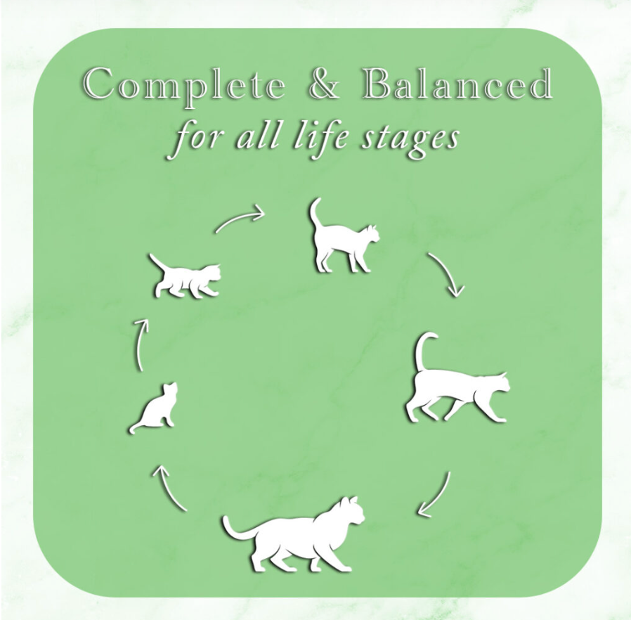 Fussie Cat Fine Dining - Pate - Oceanfish Entree in gravy (2.82oz) - Fussie Cat Wet Cat Food - The Family Pet