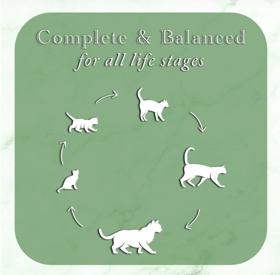 Fussie Cat Fine Dining - Pate - Oceanfish with Salmon Entree in gravy (2.82oz) - Fussie Cat Wet Cat Food - The Family Pet