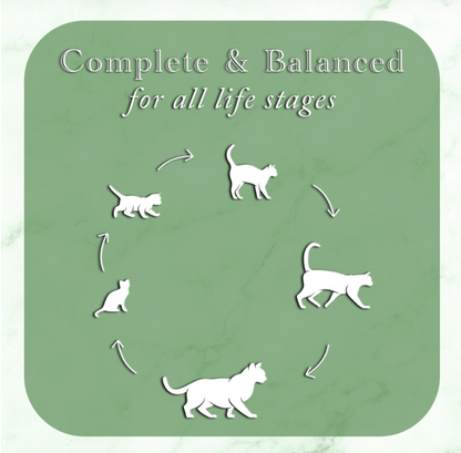 Fussie Cat Fine Dining - Pate - Oceanfish with Salmon Entree