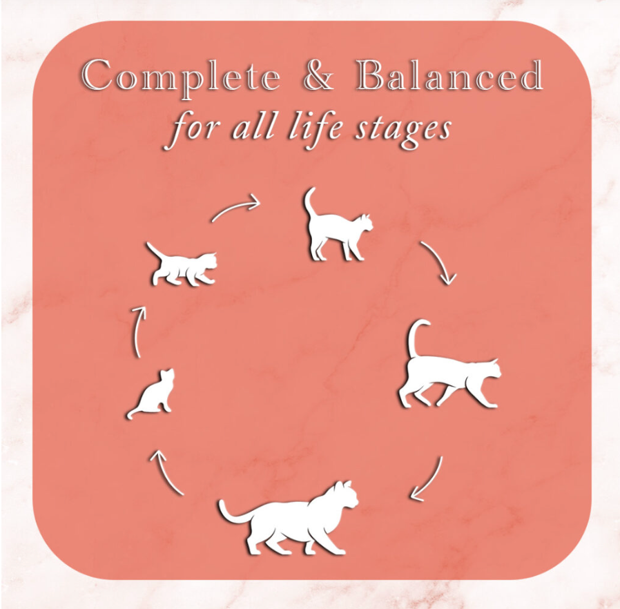 Fussie Cat Fine Dining - Pate - Sardine with Chicken Entree in gravy (2.82oz) - Fussie Cat Wet Cat Food - The Family Pet