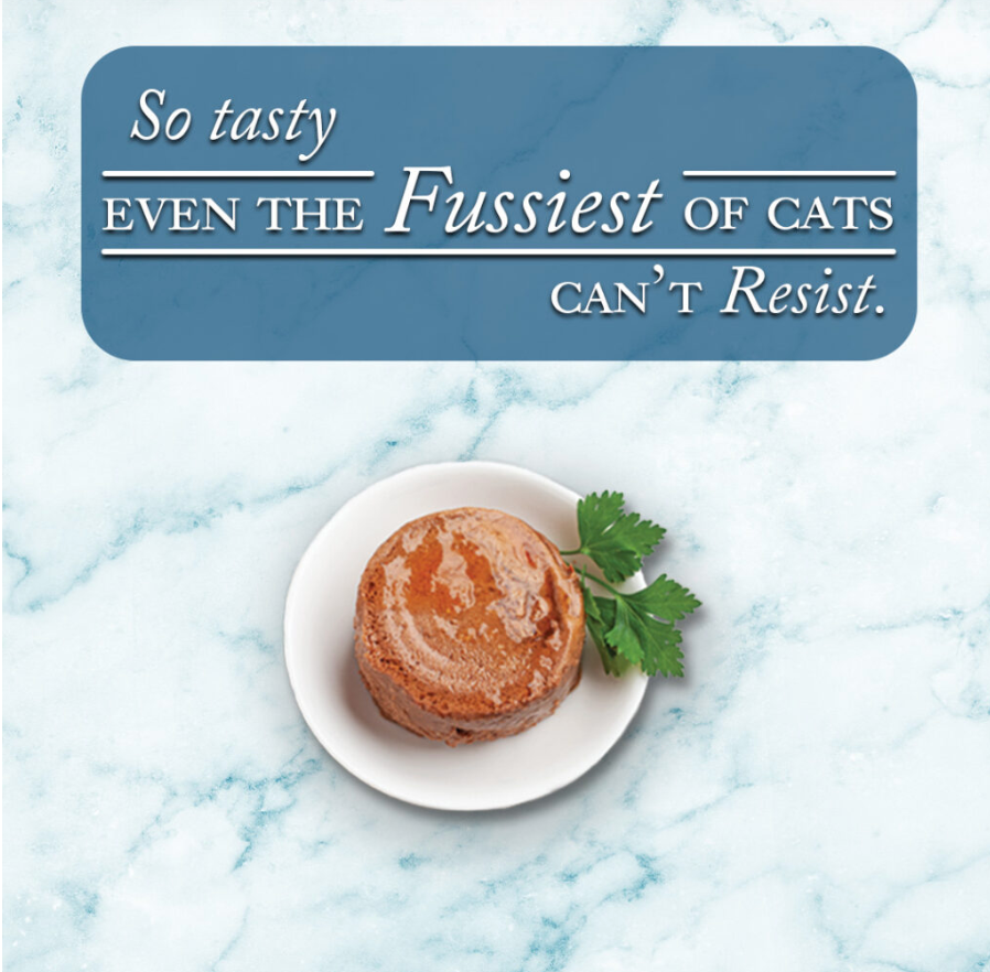 Fussie Cat Fine Dining - Pate - Tuna with Shrimp Entree in gravy (2.82oz) - Wet Cat Food - The Family Pet