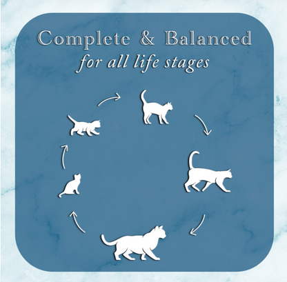 Purrfect Pet Kingdom Premium Fussie Cat Fine Dining - Pate - Tuna with Shrimp Entree in For Dogs - Interactive pet supplies by Purrfect Pet Kingdom®