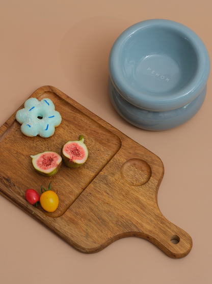 Ceramic Elevated Pet Bowl Ergonomic Dining for Cat and Dog