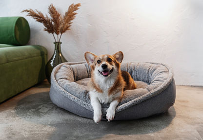 Chester & Lee Plush Furry Bagel Dog Bed for Calming Comfort