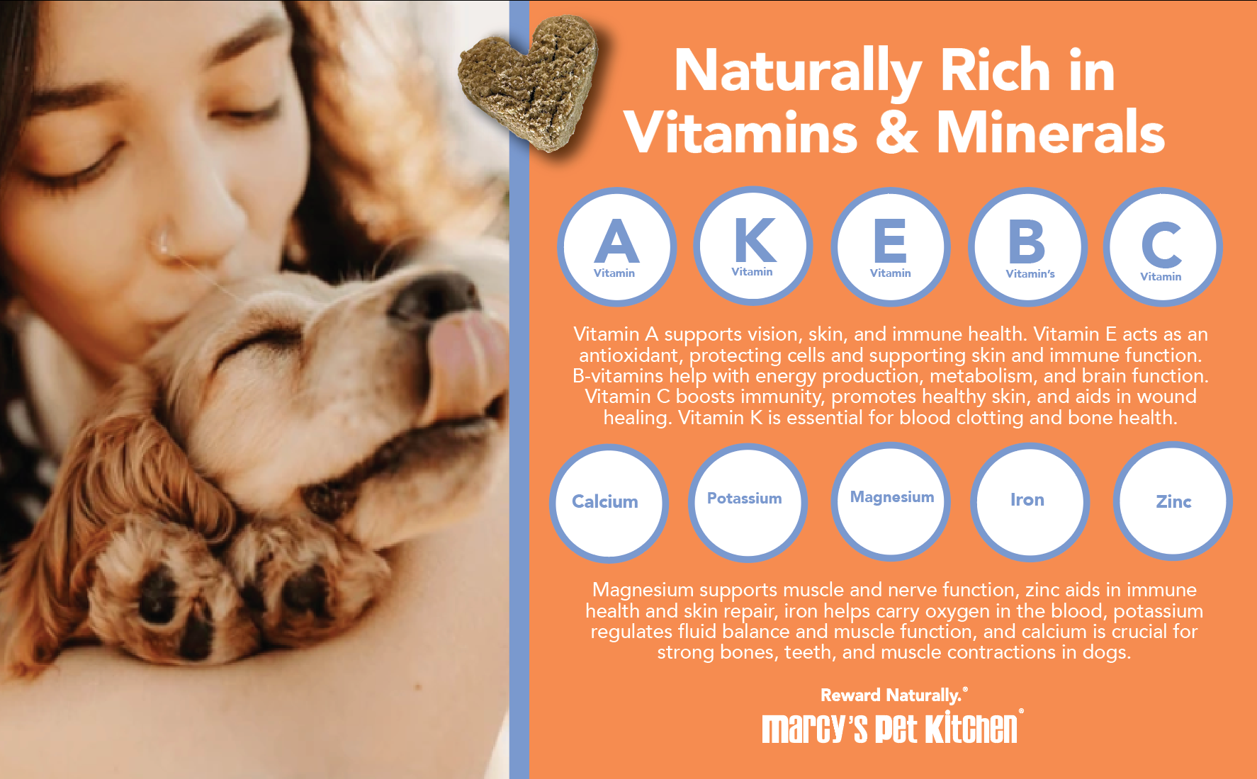 Marcy's Pet Kitchen- All Natural, Vegan Pumpkin Biscuit Dog Treats - Homemade-Vet Approved- Vegan, Gluten Free, Human Grade Ingredients, Made in The USA, Healthy Pumpkin Dog Treats - Purrfect Pet Kingdom