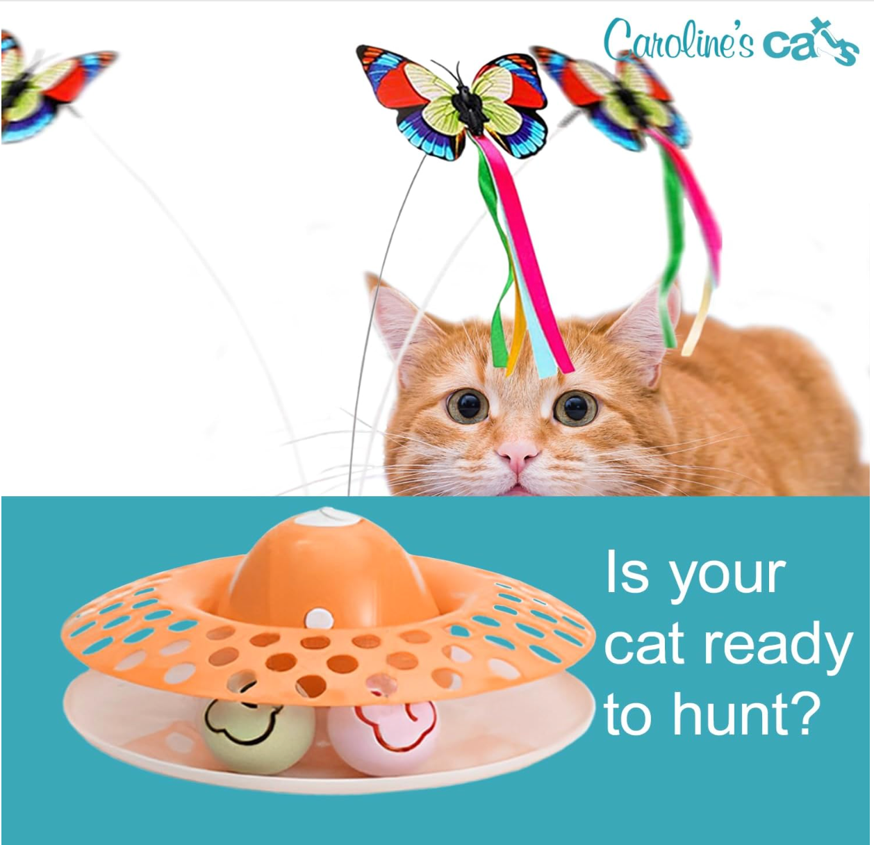 Caroline's Cats Automatic Butterfly Cat Toy – Interactive 2 in 1 with Auto Shut Off & Catnip Ball Track; Recommended Electric Exercise & Enrichment Game