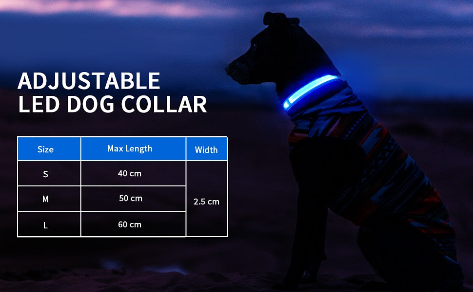 Luminous Dog Collar Waterproof Safety 🌟