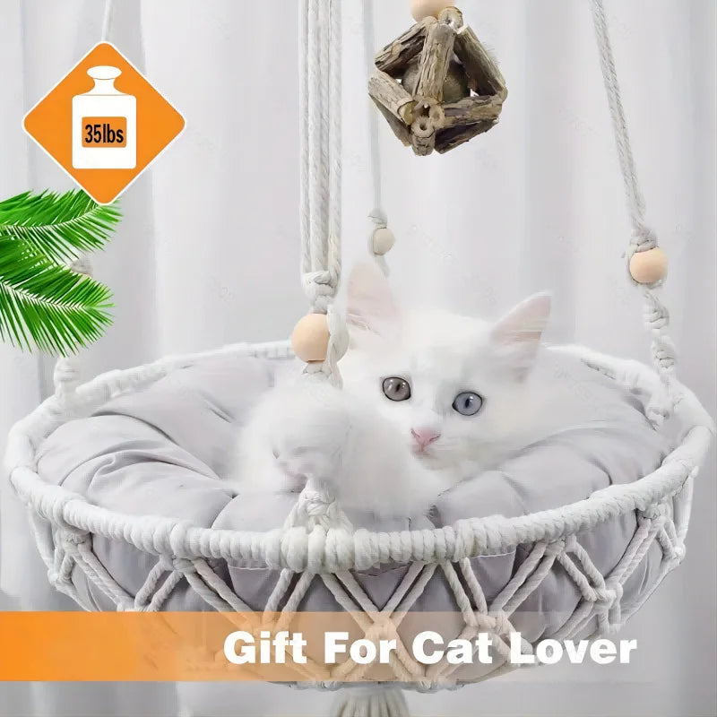 Net Cat Bed Semi - Enclosed - Breathable Mesh Pet Bed with Ventilation - Tail chasers