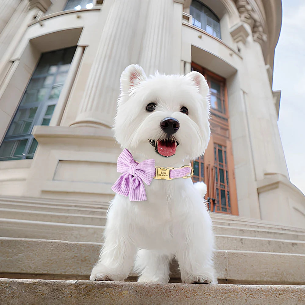Glamorous Custom Engraved  Cat Collar - Purrfect Pet Kingdom