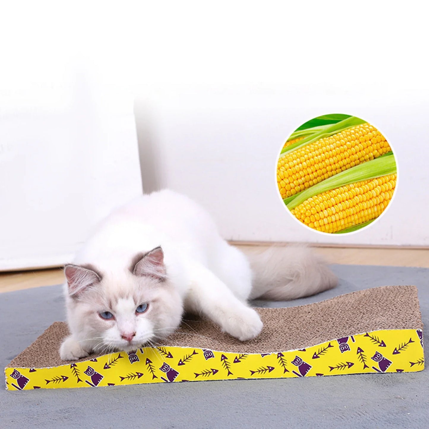 Cat Scratching Board Bed – Cardboard Scratch Pad & Nest for Cats - WTN Essentials