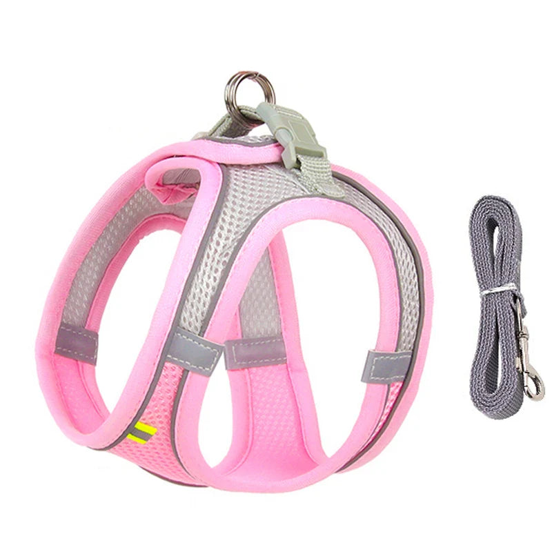 Small Dog Harness Set - Purrfect Pet Kingdom