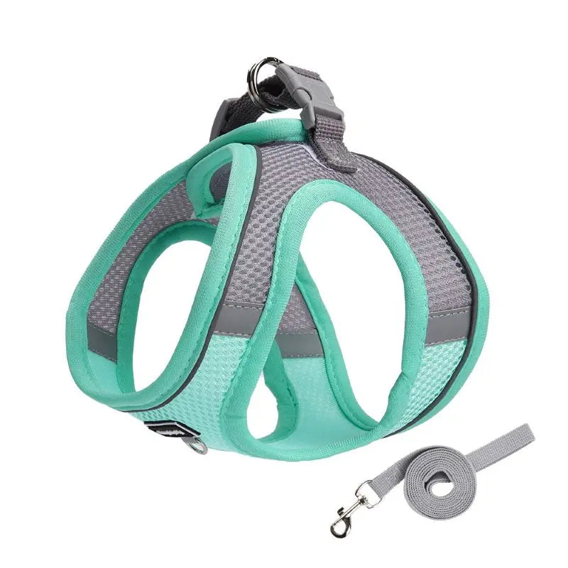 Adjustable Dog Harness & Leash Set for Small Dogs – Comfortable & Safe Walking Gear - WTN Essentials