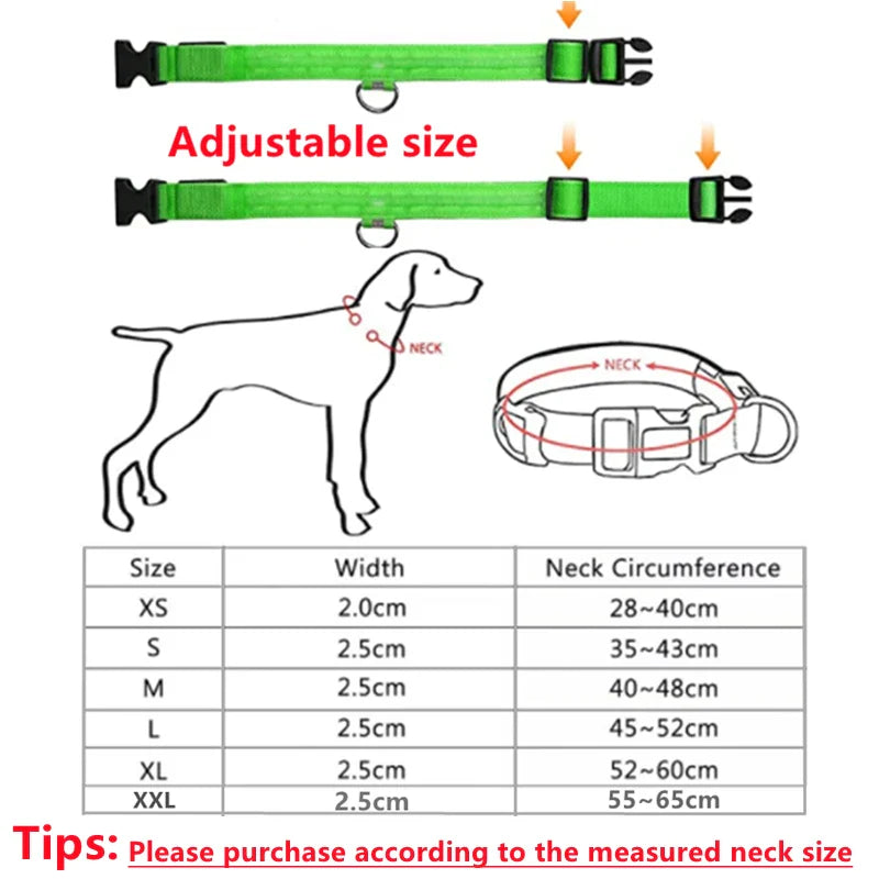 USB Rechargeable LED Glowing Dog Collar – Adjustable Night Safety - WTN Essentials