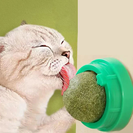 Catnip Wall Ball Treats Digestive Aid Fun 🌿