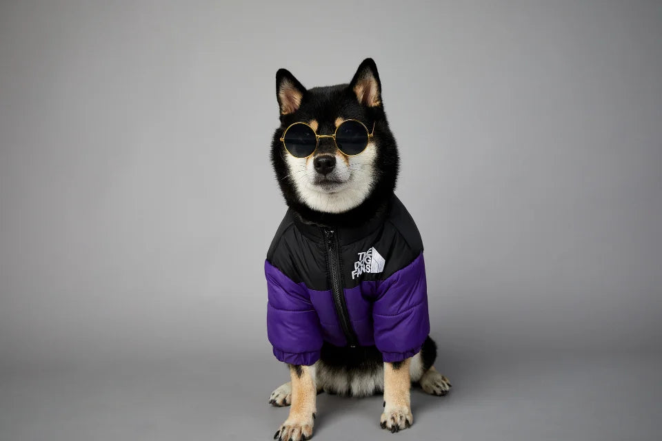 Winter Dog Down Jacket - Warm Thick Vest - Purrfect Pet Kingdom