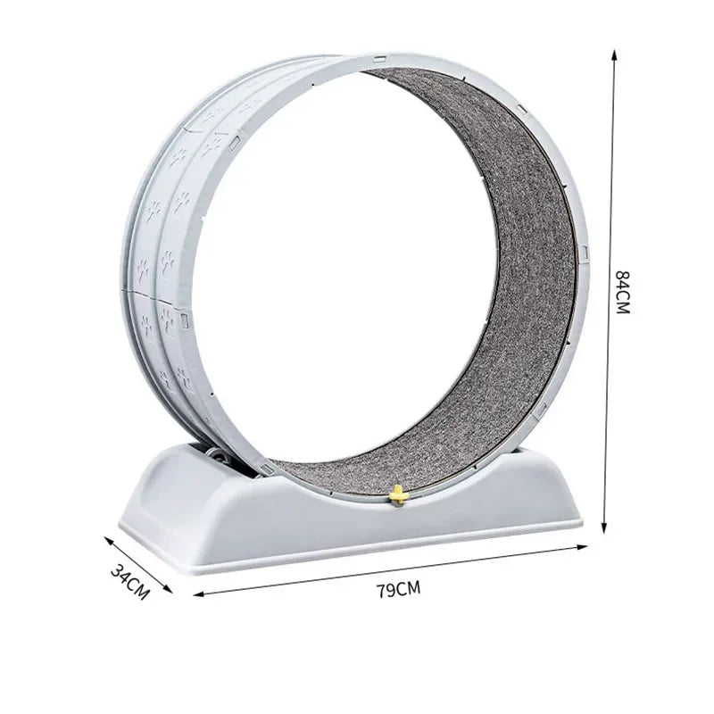 Silent Cat Exercise Wheel - Tail chasers