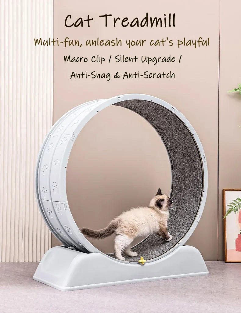 Silent Cat Exercise Wheel - Tail chasers