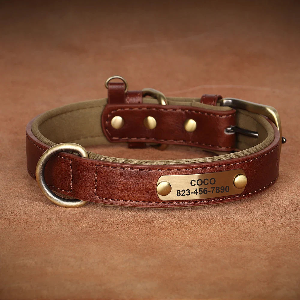 Personalized PU Leather Dog Collar with Custom Engraved ID Tag - WTN Essentials