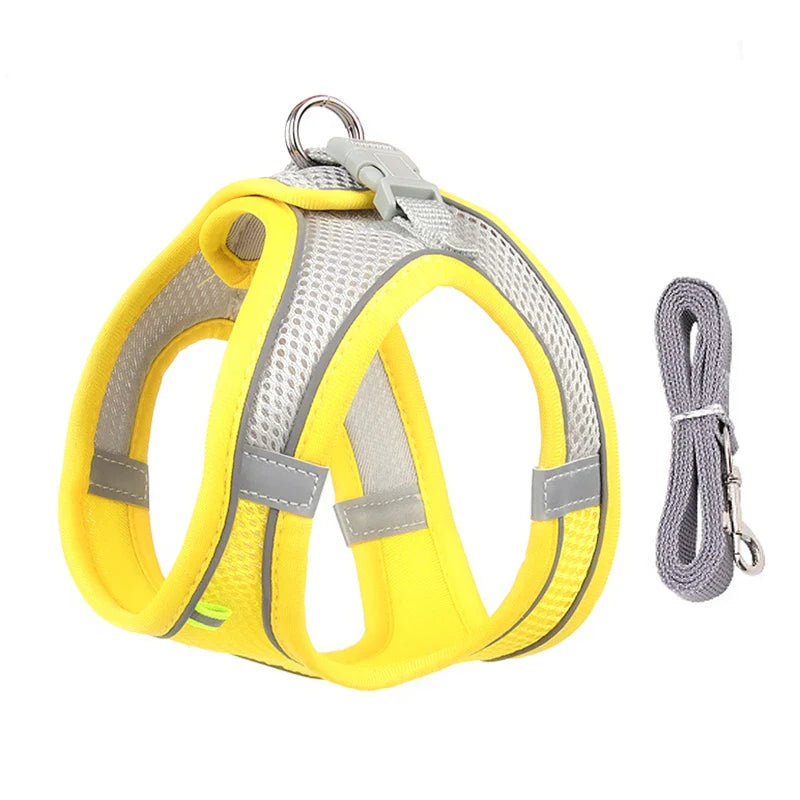Small Dog Harness Set - Purrfect Pet Kingdom