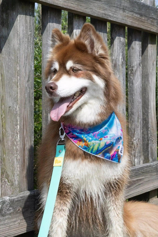 Sea Turtle Swim Dog Bandana - Purrfect Pet Kingdom
