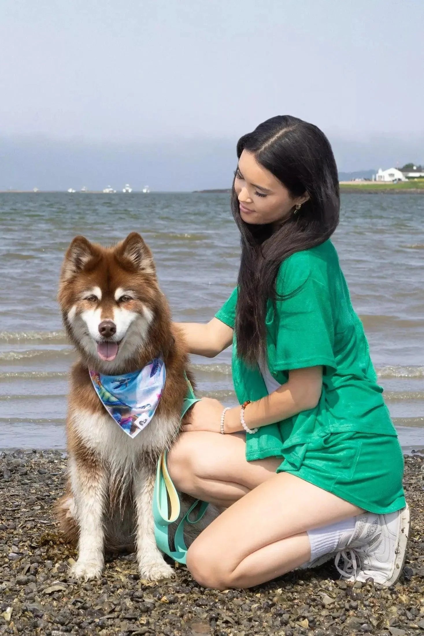 Sea Turtle Swim Dog Bandana - Purrfect Pet Kingdom
