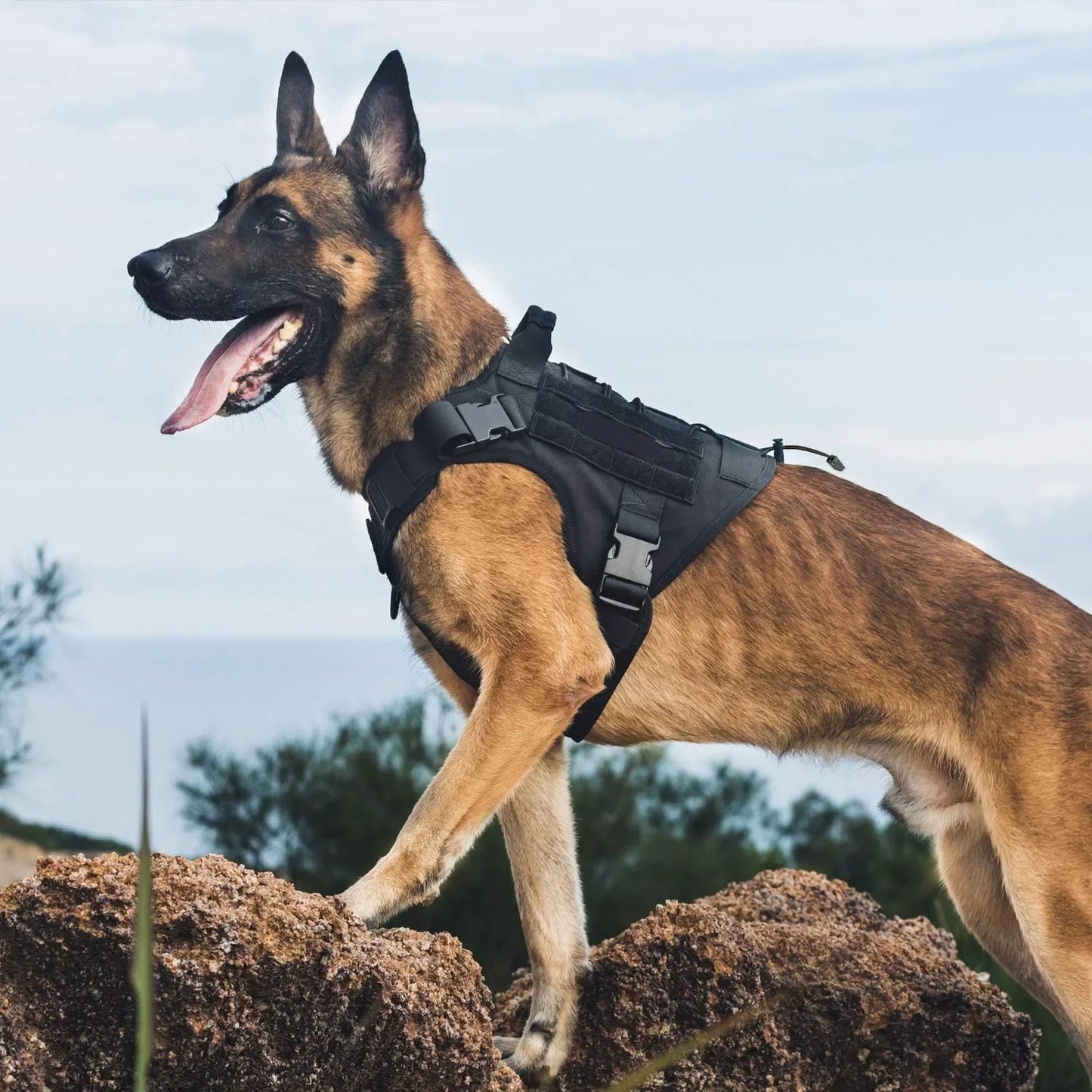 TactiGrip No-Pull Dog Vest: Adjustable & Secure