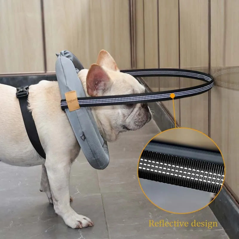 Blind Dog Safety Collar - Purrfect Pet Kingdom