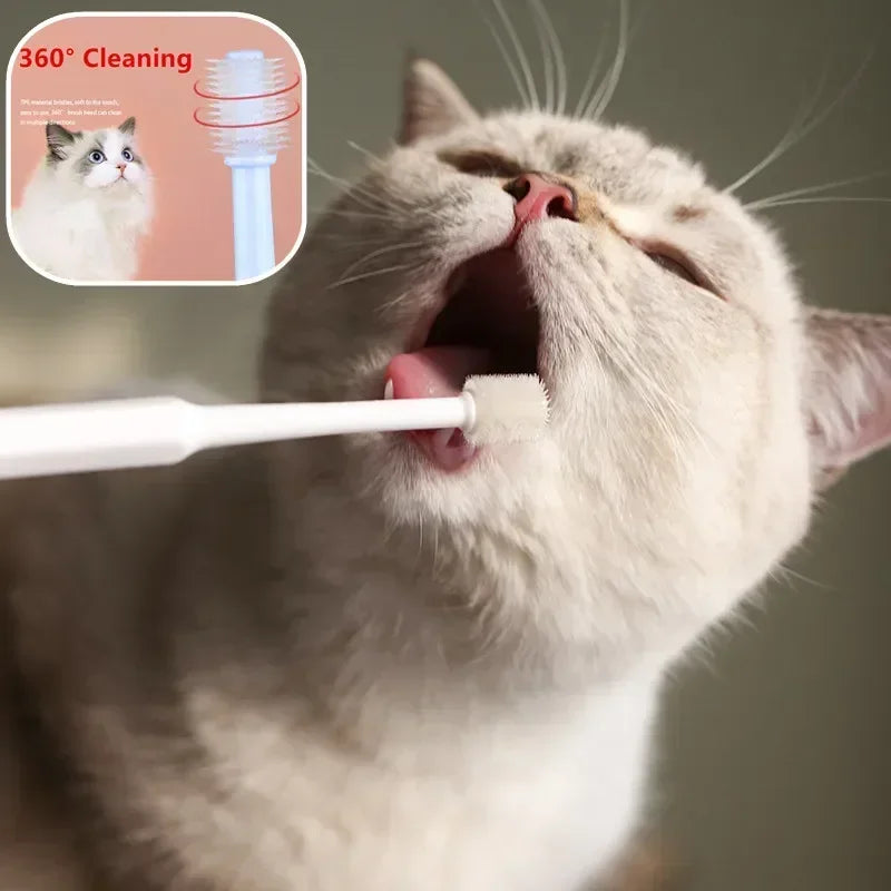 Complete Pet Toothbrush And Toothpaste Kit