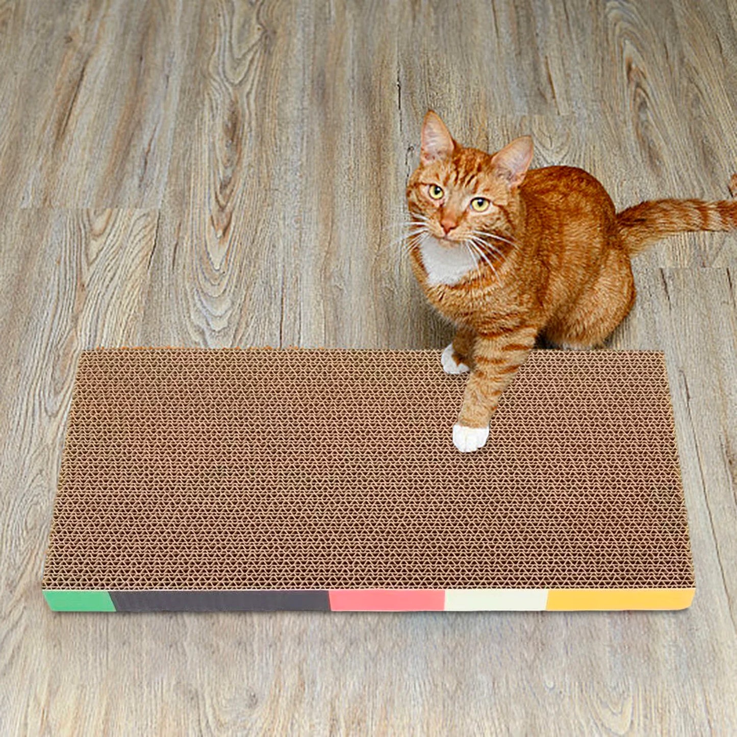 Cat Scratching Board Bed – Cardboard Scratch Pad & Nest for Cats - WTN Essentials