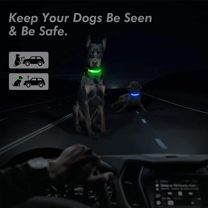 USB Rechargeable LED Glowing Dog Collar – Adjustable Night Safety - WTN Essentials