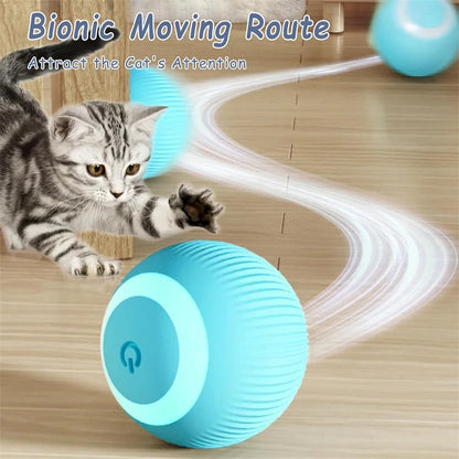 Dog Toy Ball Smart Auto Bouncing USB ⚽