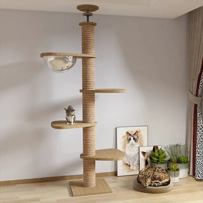 Multi Layer Solid Wood Cat Climbing Frame 🐱