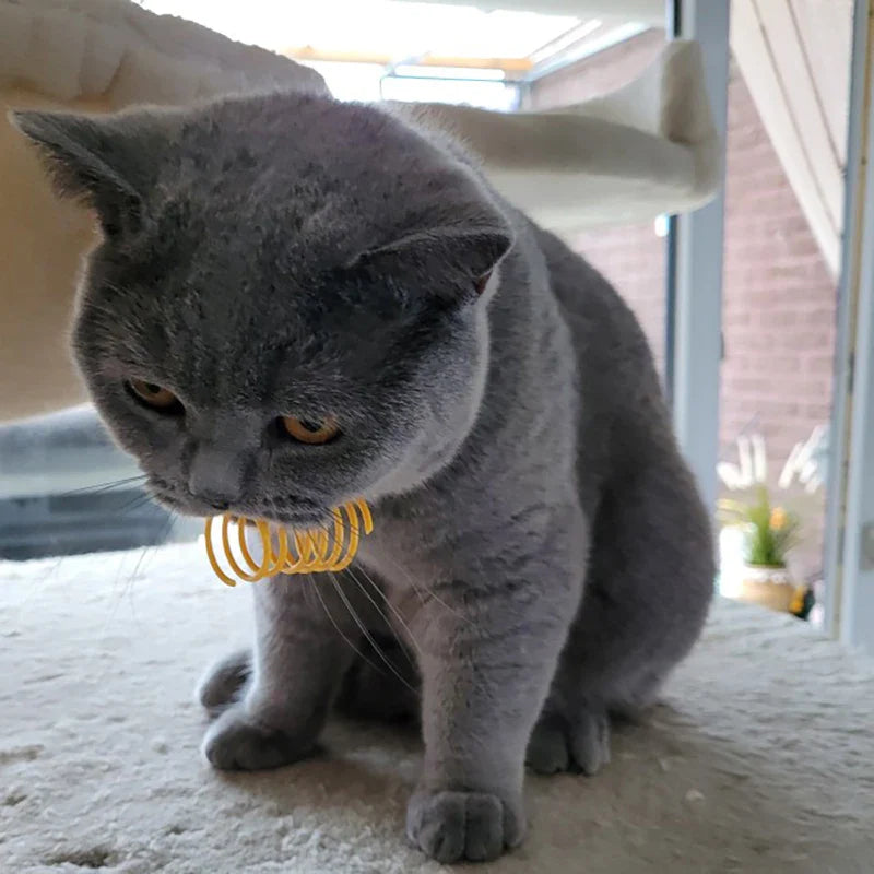 Colorful Cat Spring Toys – Durable Coil Play for Kittens - WTN Essentials