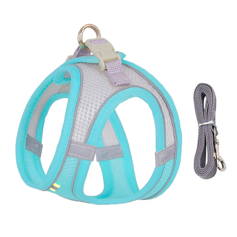 Small Dog Harness Set - Purrfect Pet Kingdom