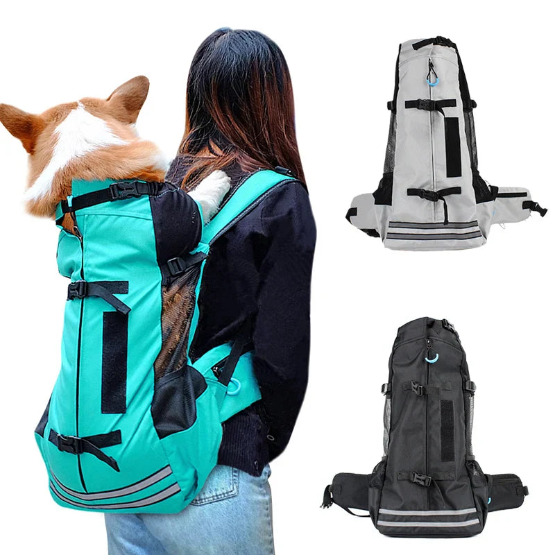 Waterproof Dog Travel Backpack - All-Weather Adventure Carrier