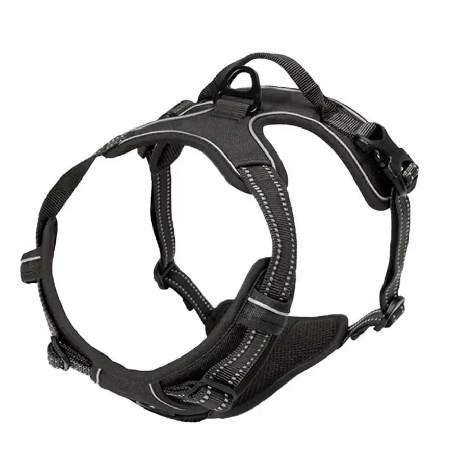 Dog Collar, Harness & Leash Set – Leather for Small & Medium Dogs