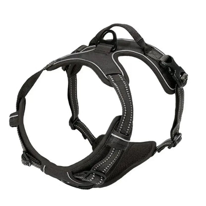 Dog Collar, Harness & Leash Set – Leather for Small & Medium Dogs