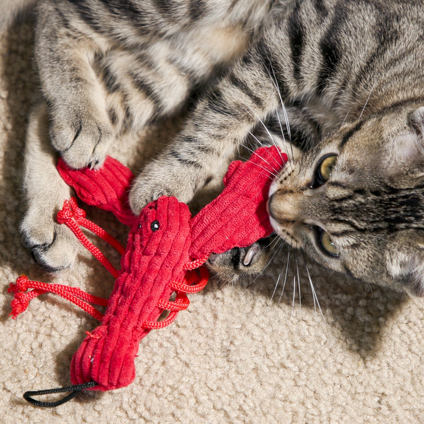 Cat Toy HuggleKats Water Critters Bucket of Toys 12 Pack - gallery product image for cat toy