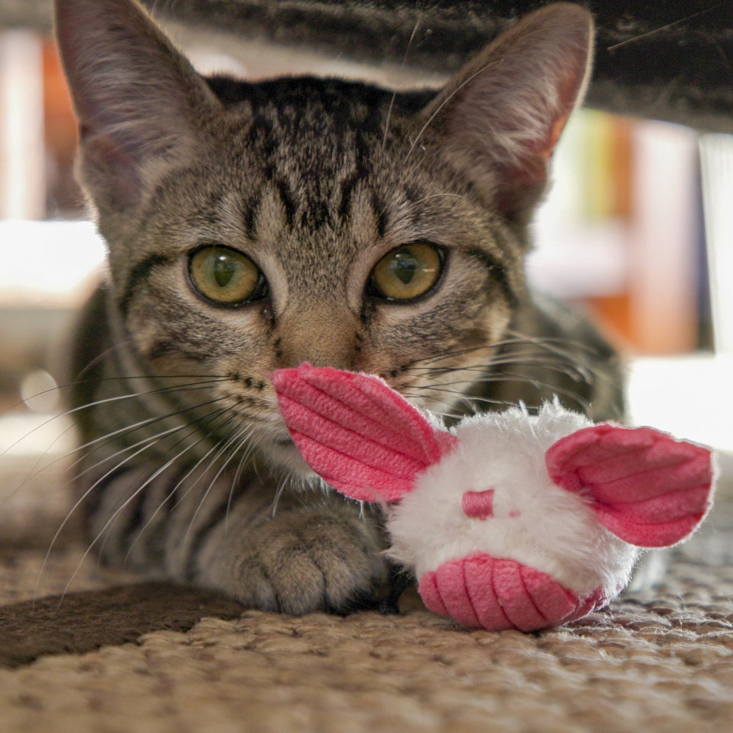 Cat Toy HuggleKats Dust Bunnies Toys Pack for Daily Use - gallery product image for cat toy