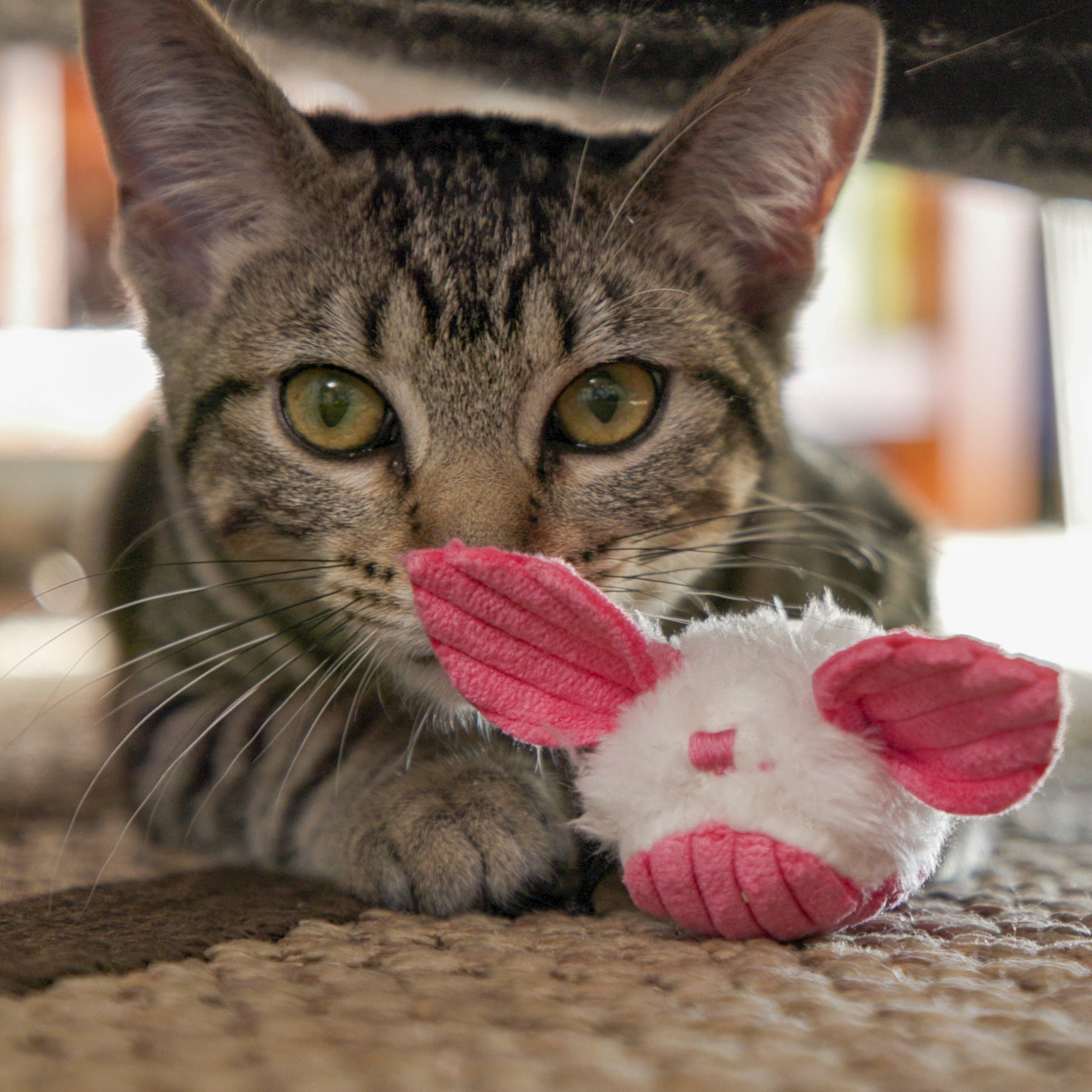 Cat Toy HuggleKats Dust Bunnies Toys Pack for Daily Use - gallery product image for cat toy