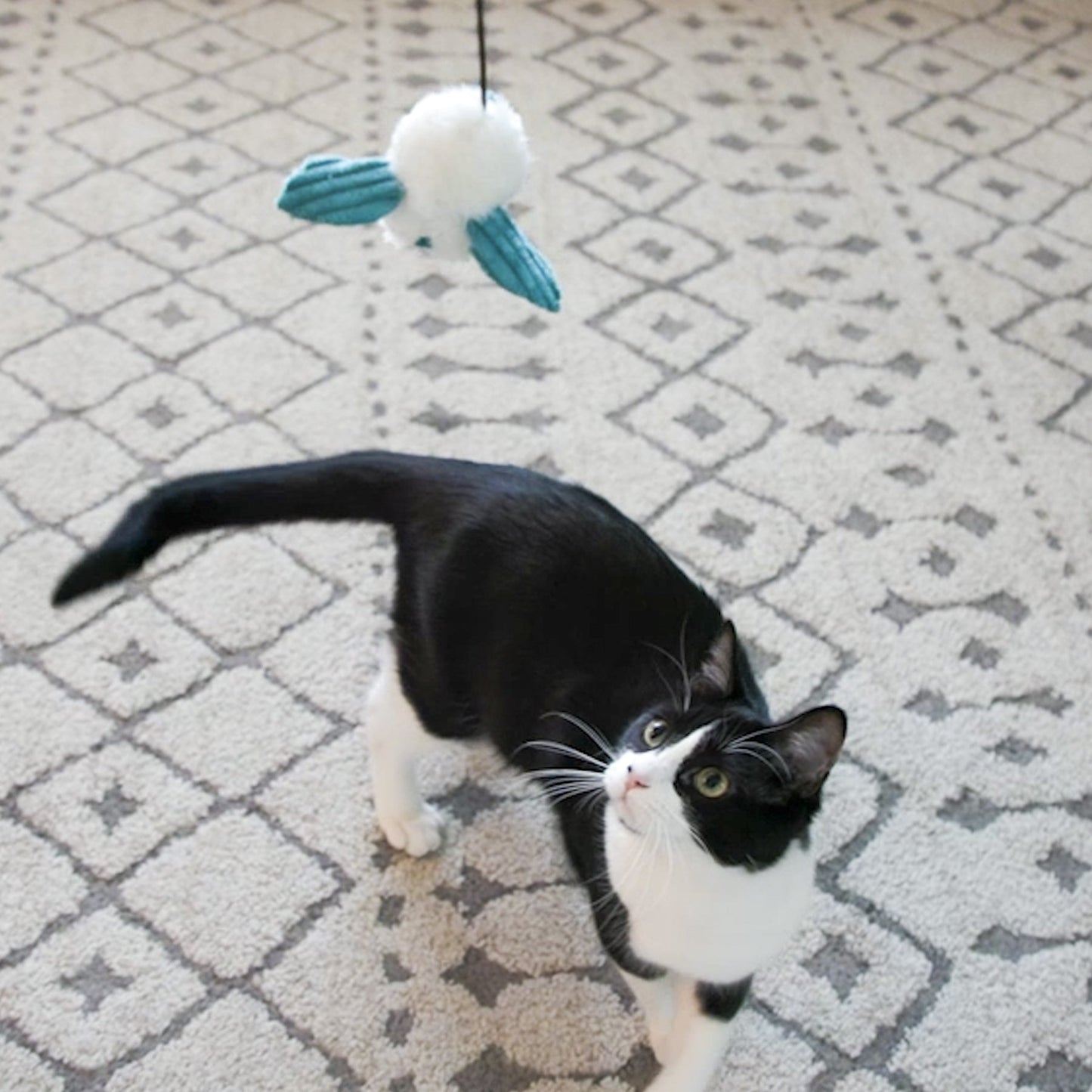 Cat Toy HuggleKats Dust Bunnies Toys Pack for Daily Use - gallery product image for cat toy