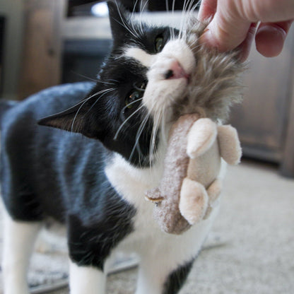 Interactive Plush Wee Fellar Squirrel Toy for Active Cats