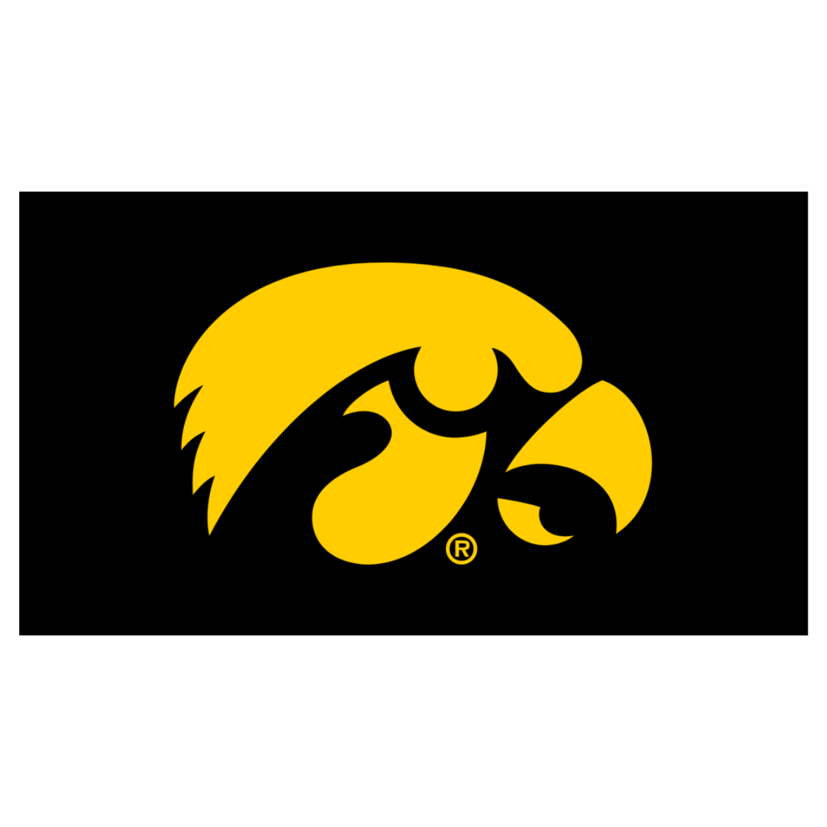 Dog Toy NCAA University of Iowa Herky the Hawk Knottie Essen - close up product image for dog toy